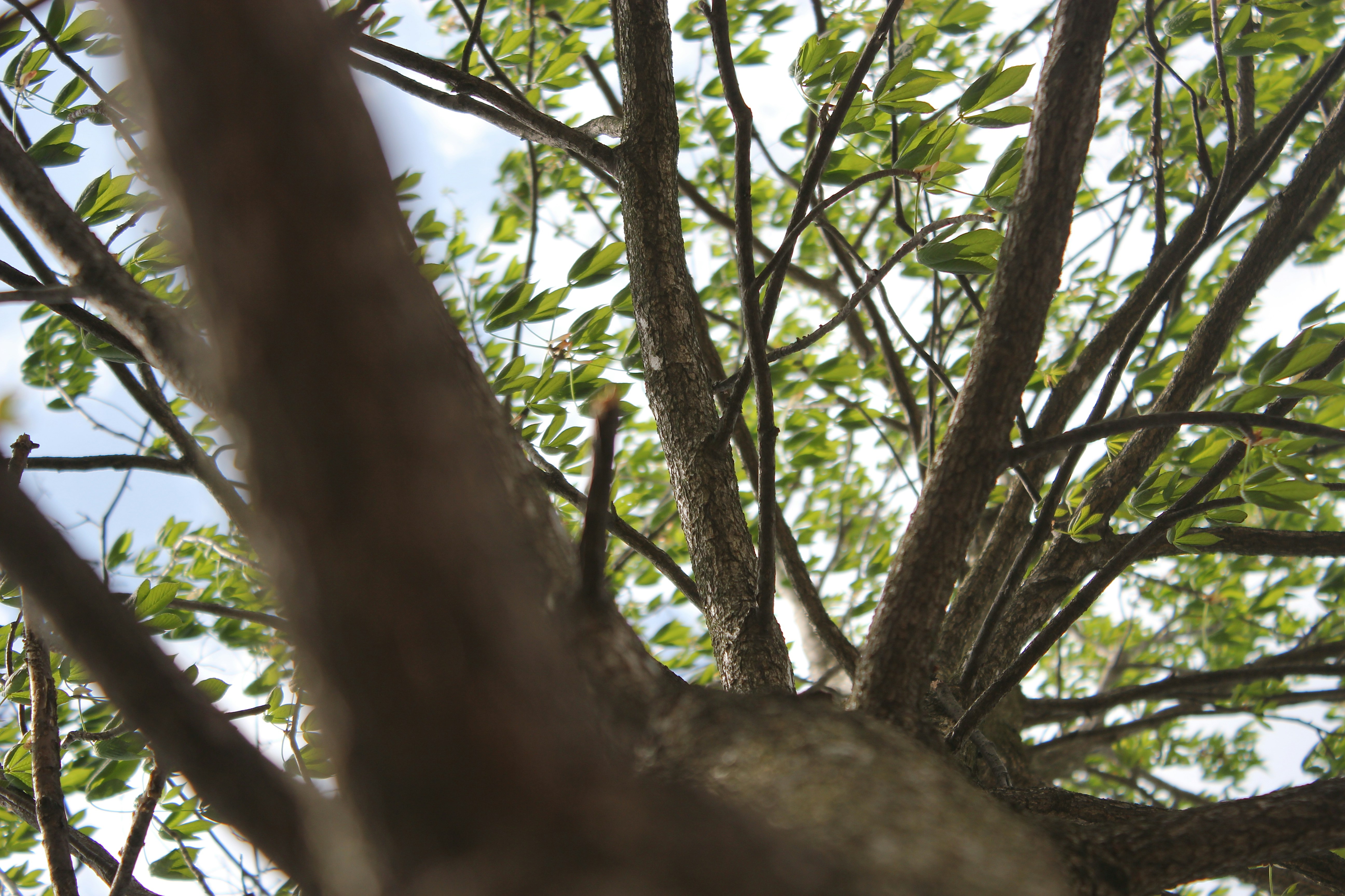 Photo by mrgreatheart