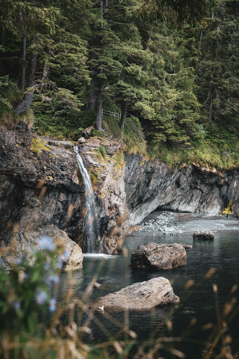 water falls in the middle of green trees