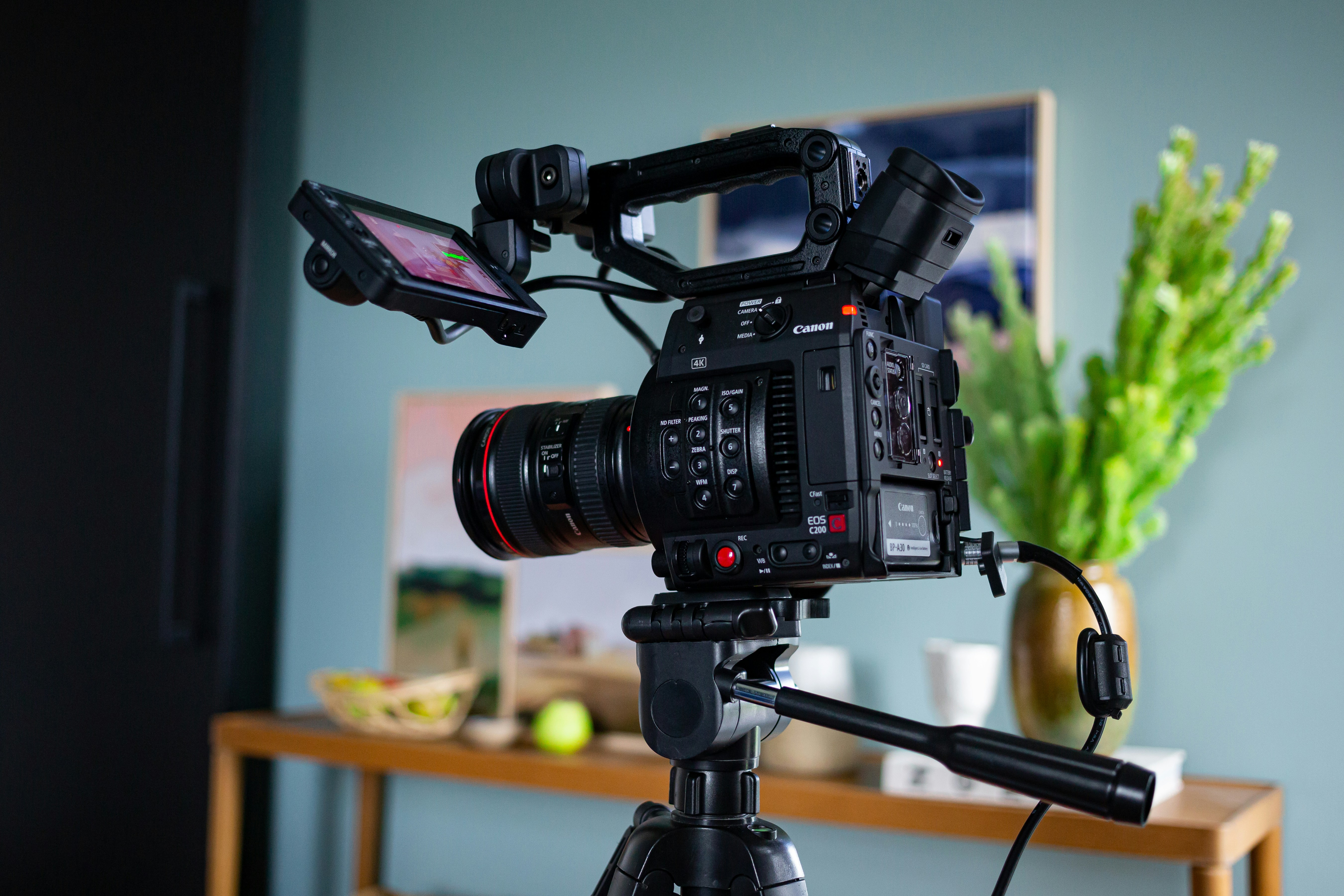 Photo by saxon_white