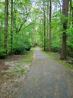 A serene pathway leading through a lush green forest, symbolizing a journey of faith.