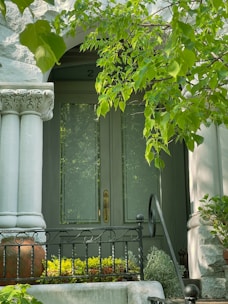 Shared entrance area between the two living units with decorative plants.