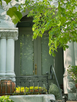 Home entrance surrounded by lush greenery in elegant planters.