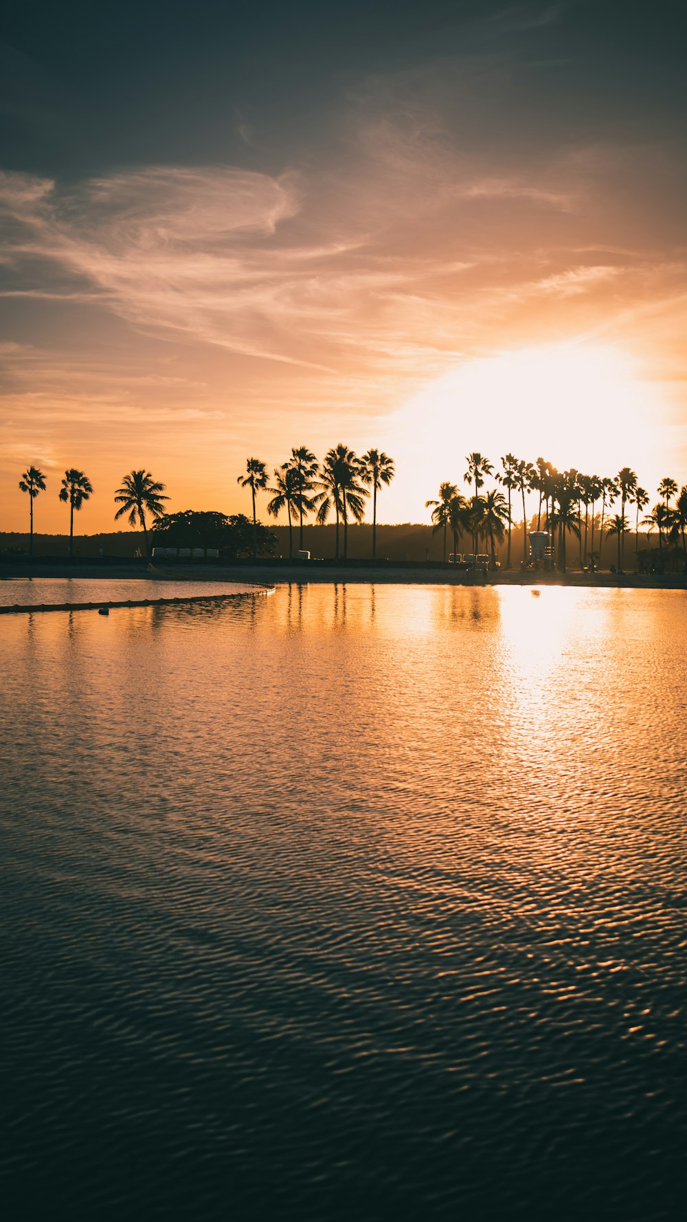 silhouette of palm trees near body of water during sunset