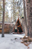 Exterior view of a warm, inviting a-frame cabin nestled among tall pine trees.