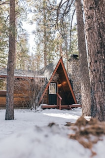 Sunset view of the cozy Pocono A-frame cabin nestled among tall pine trees.