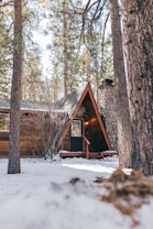 A cozy A-frame cabin nestled among tall pine trees, surrounded by a blanket of snow. The rustic wooden structure features a stone chimney and a small porch leading to a dark door. Sparse bare branches are visible, and soft light adds warmth to the wintery setting.