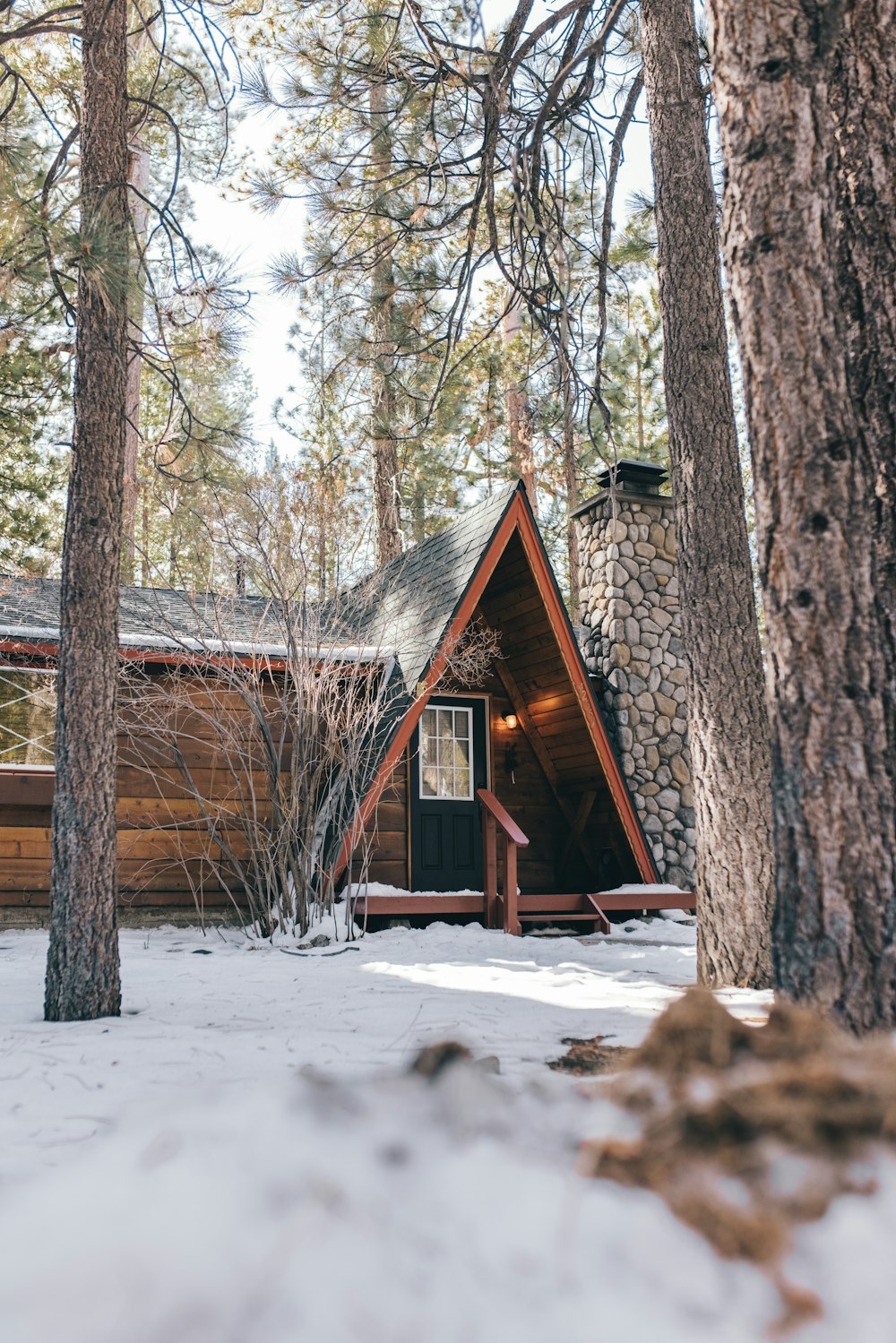 눈으로 뒤덮인 숲 한가운데에 있는 갈색 목조 주택