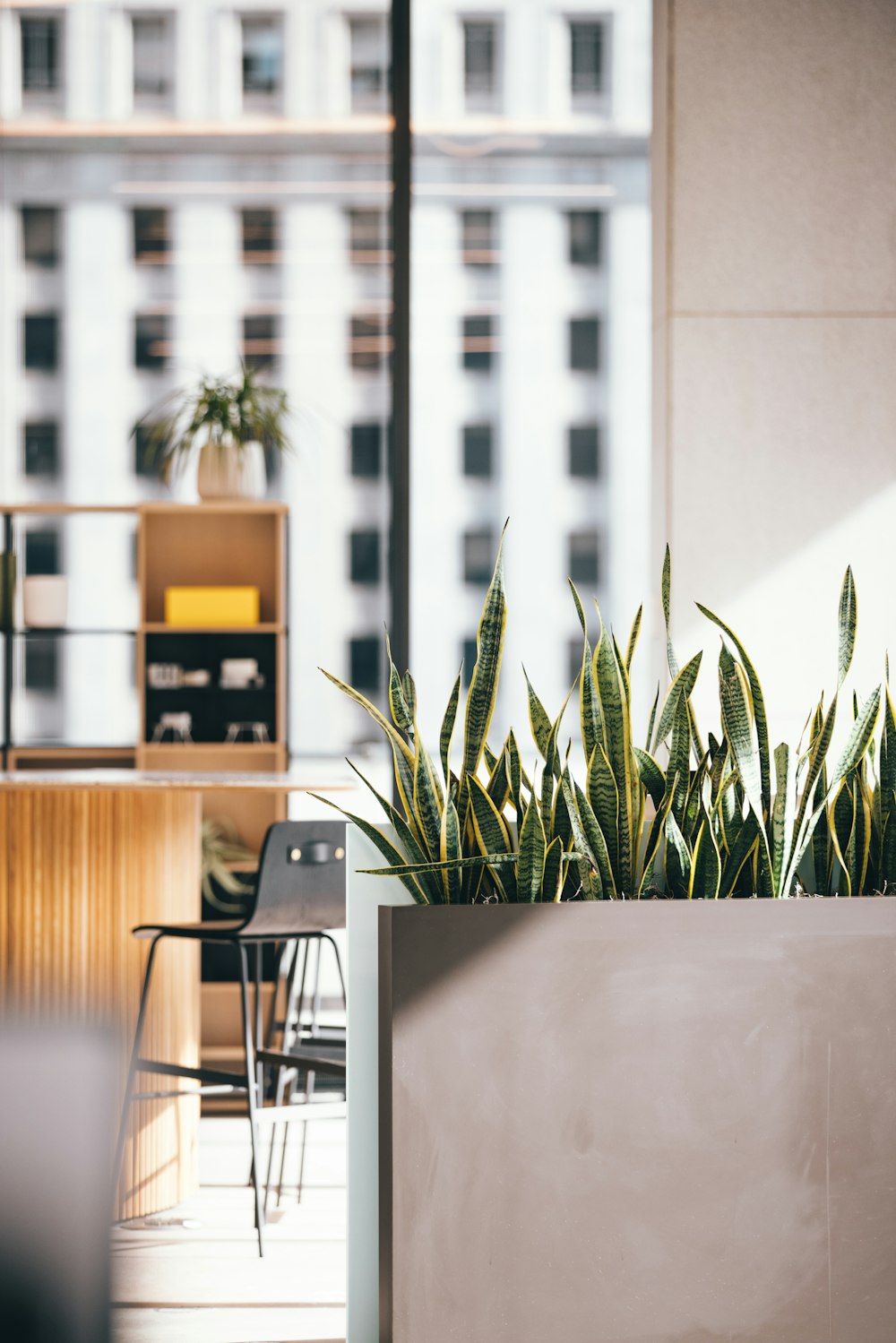 green plant beside white wooden table