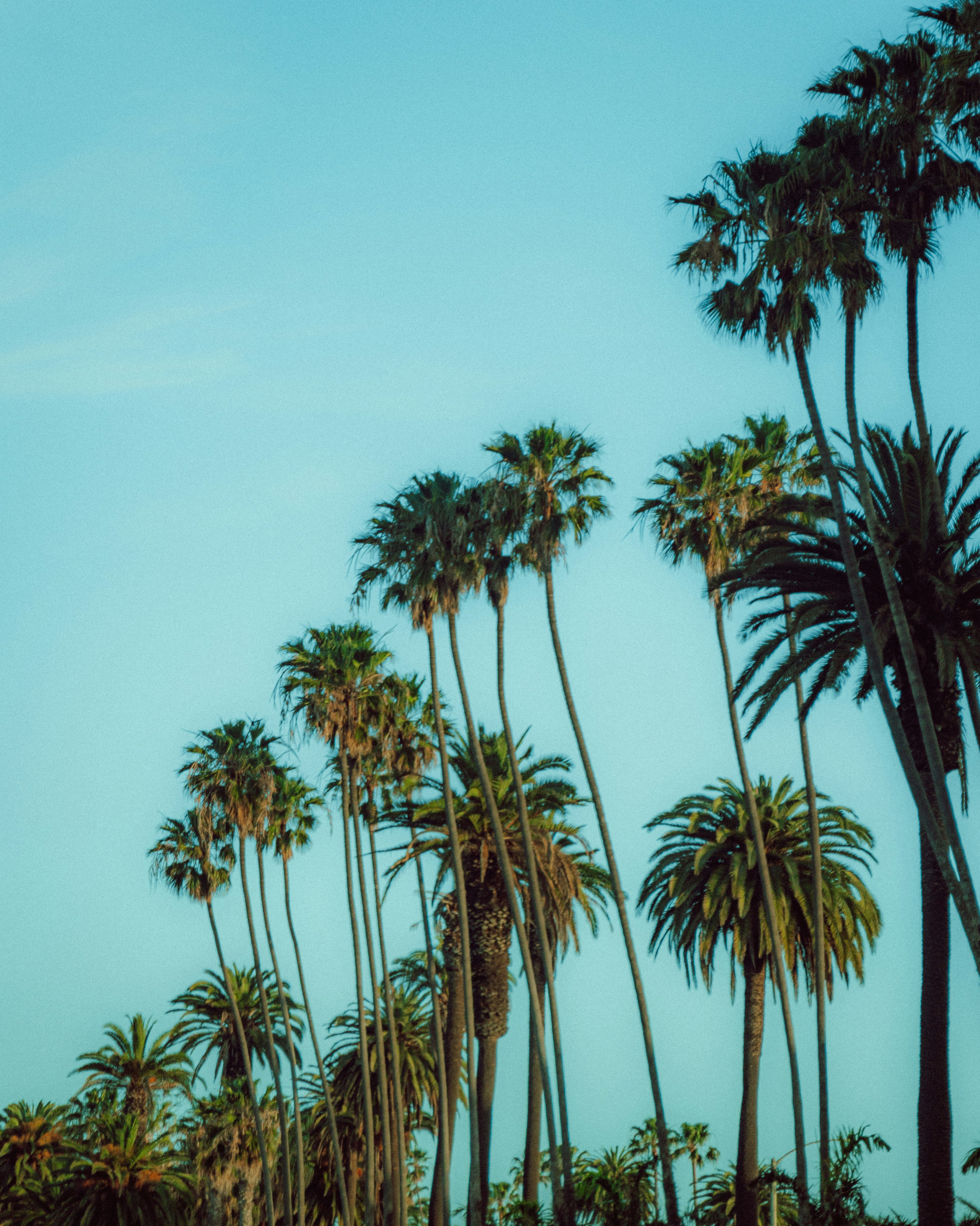 Photo by alenkajtezovic