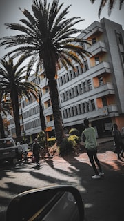 A street scene featuring several tall palm trees lining the sidewalk in front of a multi-story building. The building has numerous windows and is slightly shaded by the trees. Several pedestrians, including a person wearing a light vest, are walking along the pavement. A car is partially visible, and a side mirror is in the foreground. There are also signs for various businesses on the building.