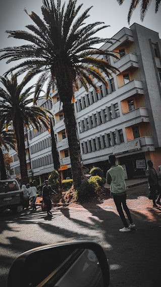 A street scene featuring several tall palm trees lining the sidewalk in front of a multi-story building. The building has numerous windows and is slightly shaded by the trees. Several pedestrians, including a person wearing a light vest, are walking along the pavement. A car is partially visible, and a side mirror is in the foreground. There are also signs for various businesses on the building.