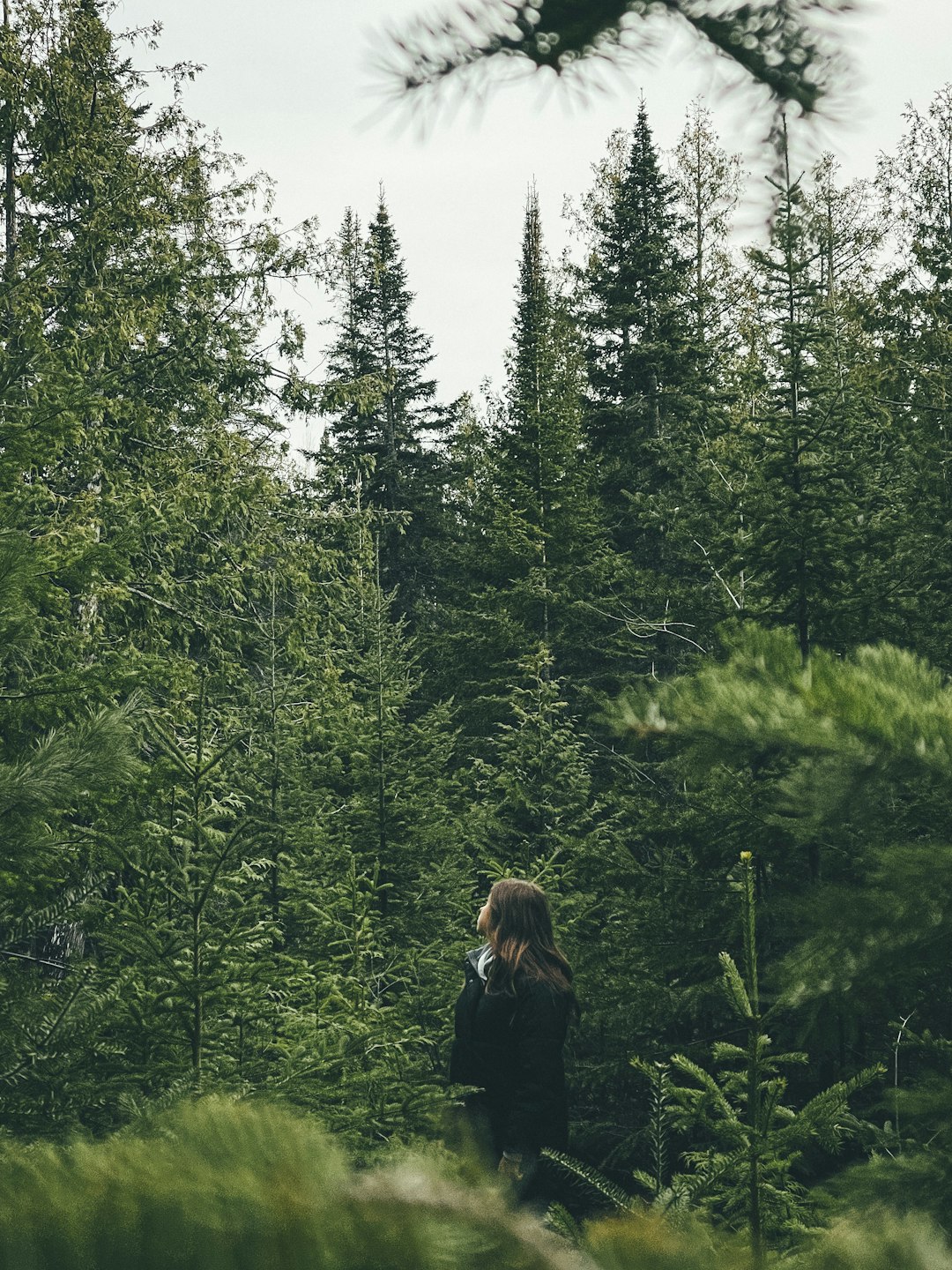 woman in black jacket standing in front of green trees during daytime