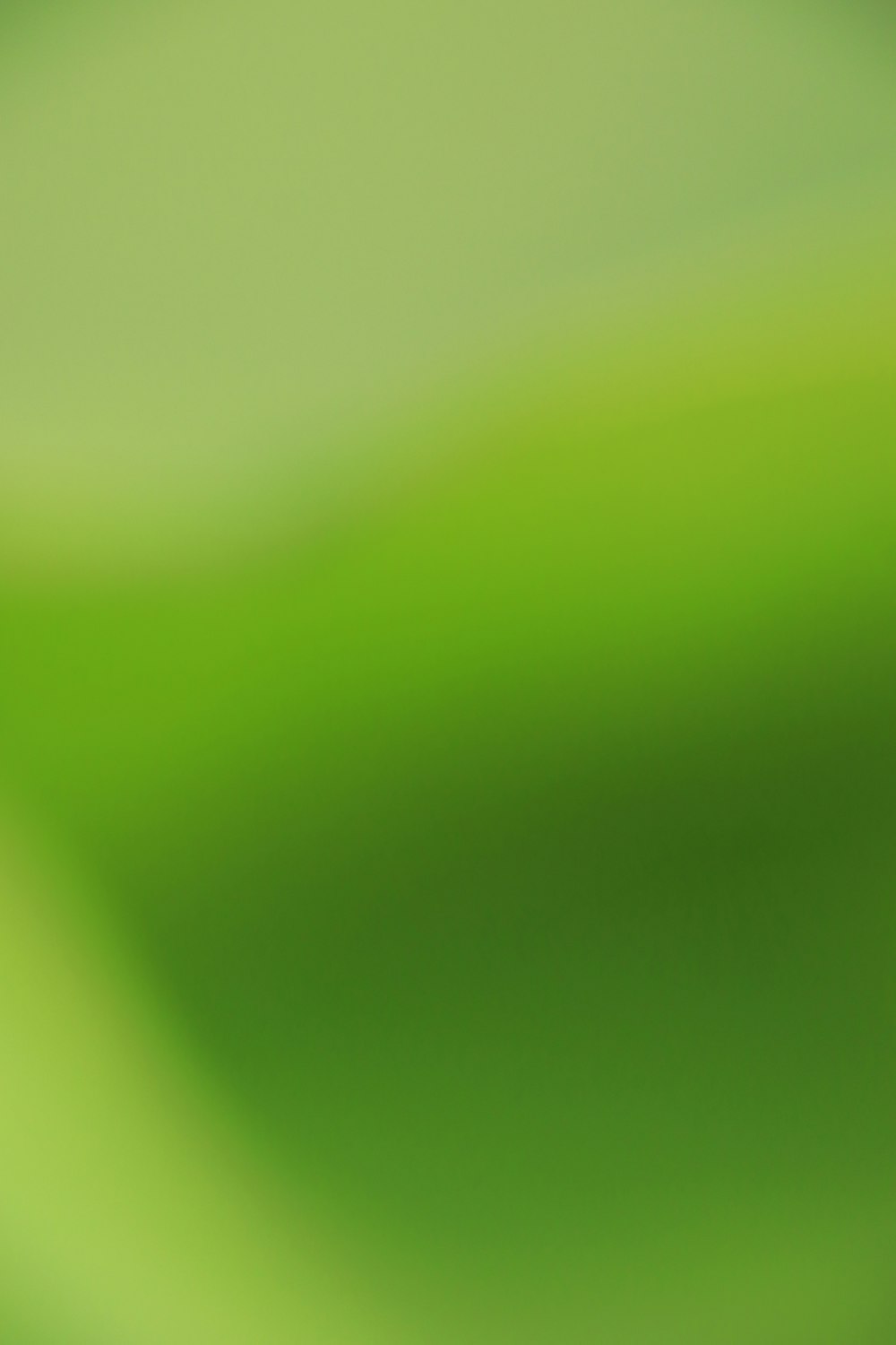 close up foto de têxtil verde