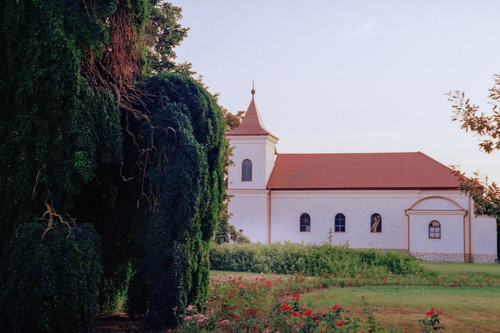 brown and white concrete church