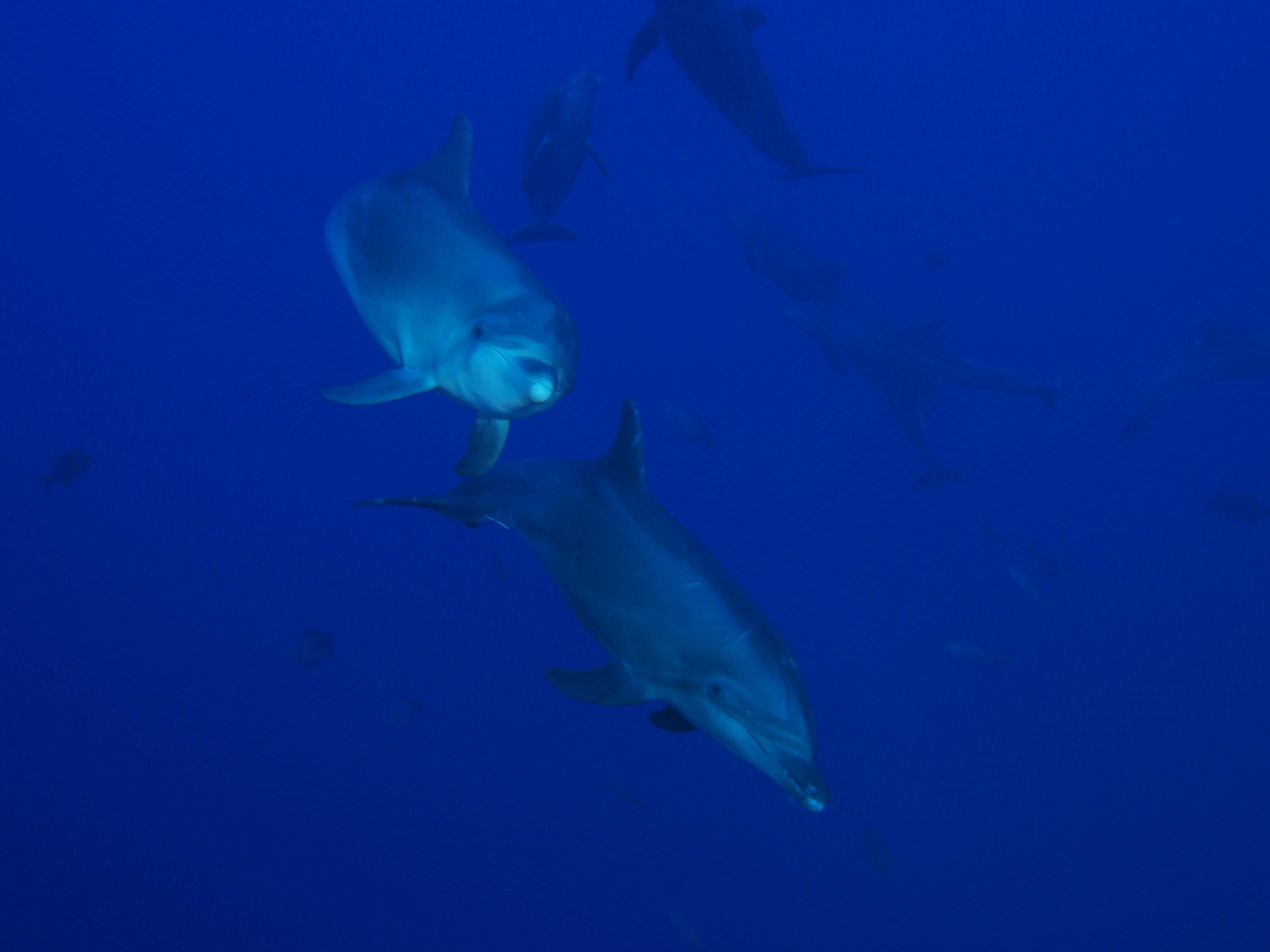 Photo by alien_spaceship