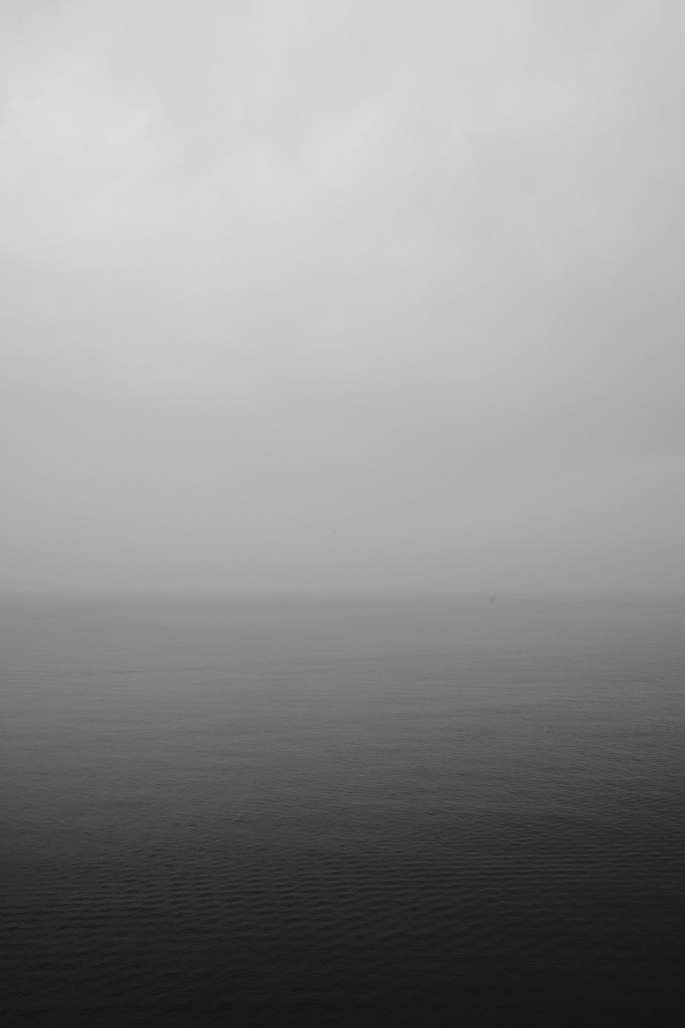 grayscale photo of body of water