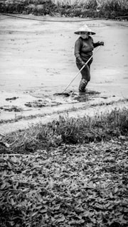 Farmer carefully tapping a rubber tree early in the morning, with traditional tools.