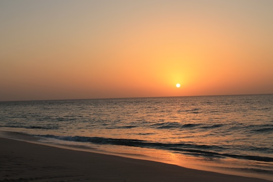 A breathtaking sunset casting warm orange hues over a calm beach with gentle waves.