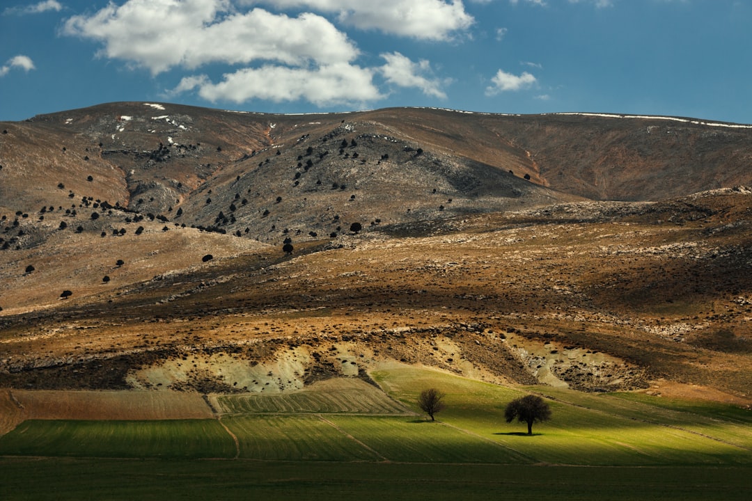 green grass field near brown mountains under blue sky during daytime