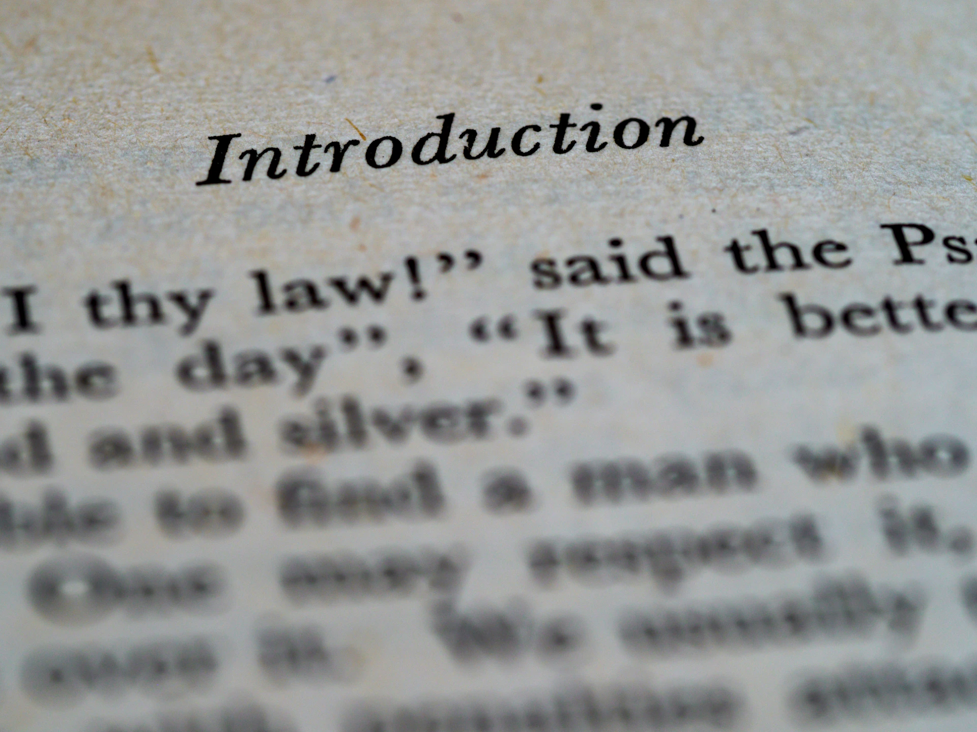 A crisp, clear snapshot of the first page of the PDF preview, highlighting the book's engaging introduction.