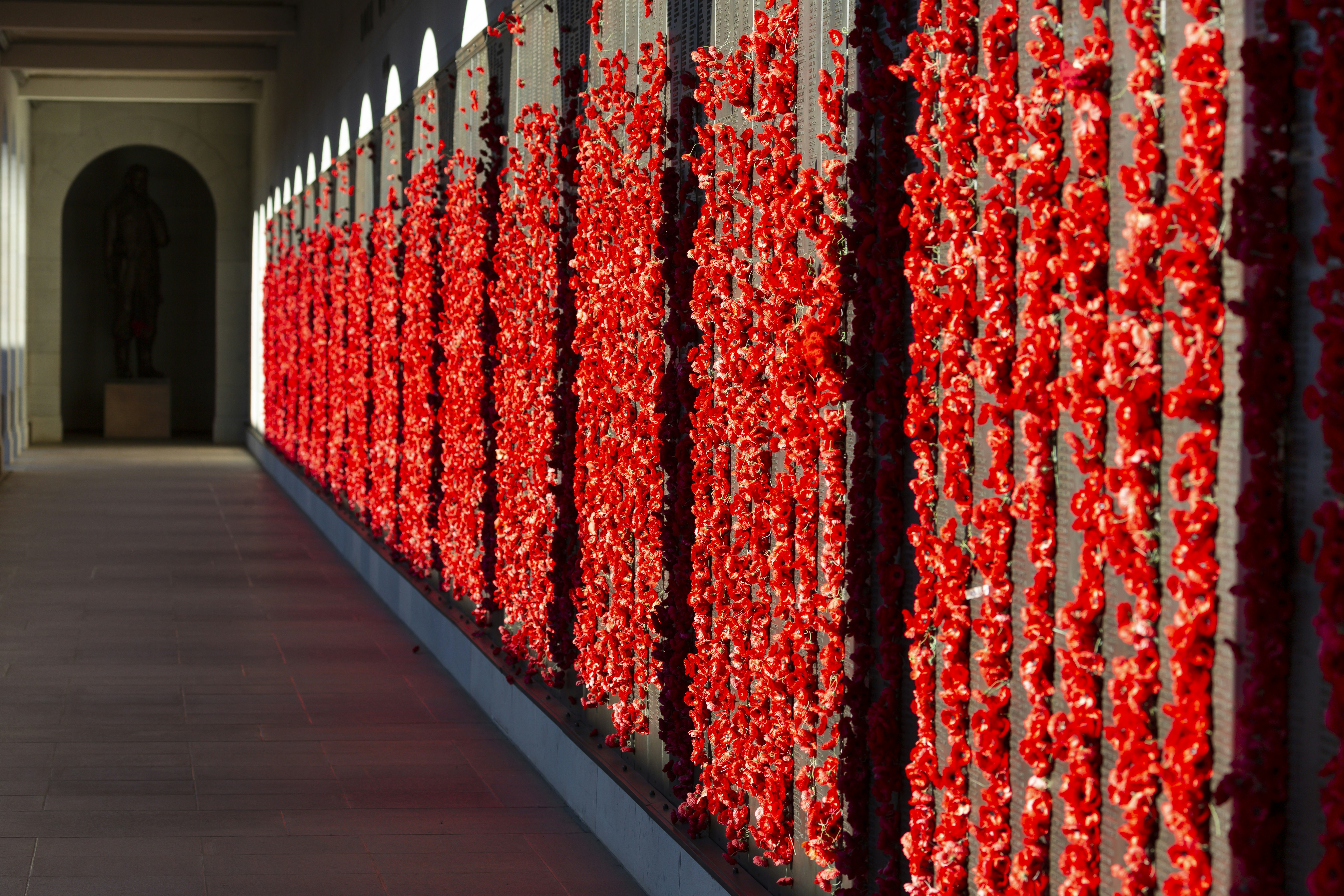 red and white hanging decor, Poppies on wall of remembrance.