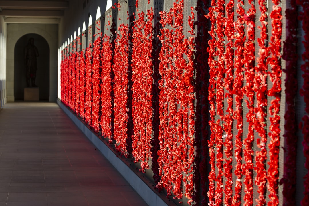 red and white hanging decor, Poppies on wall of remembrance.