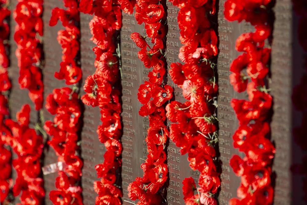 red and white floral textile