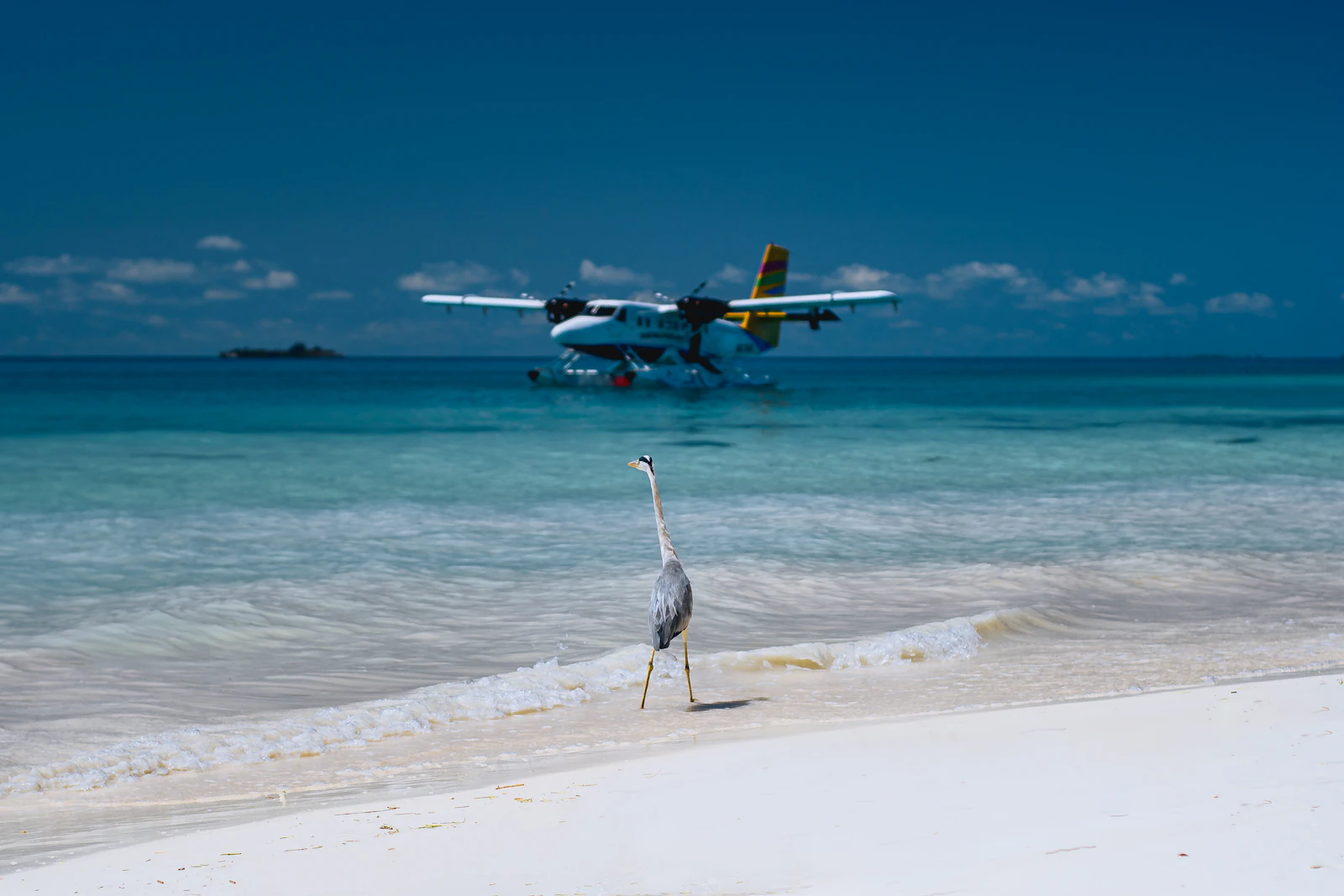 Photo by Muhammadh Saamy on Unsplash