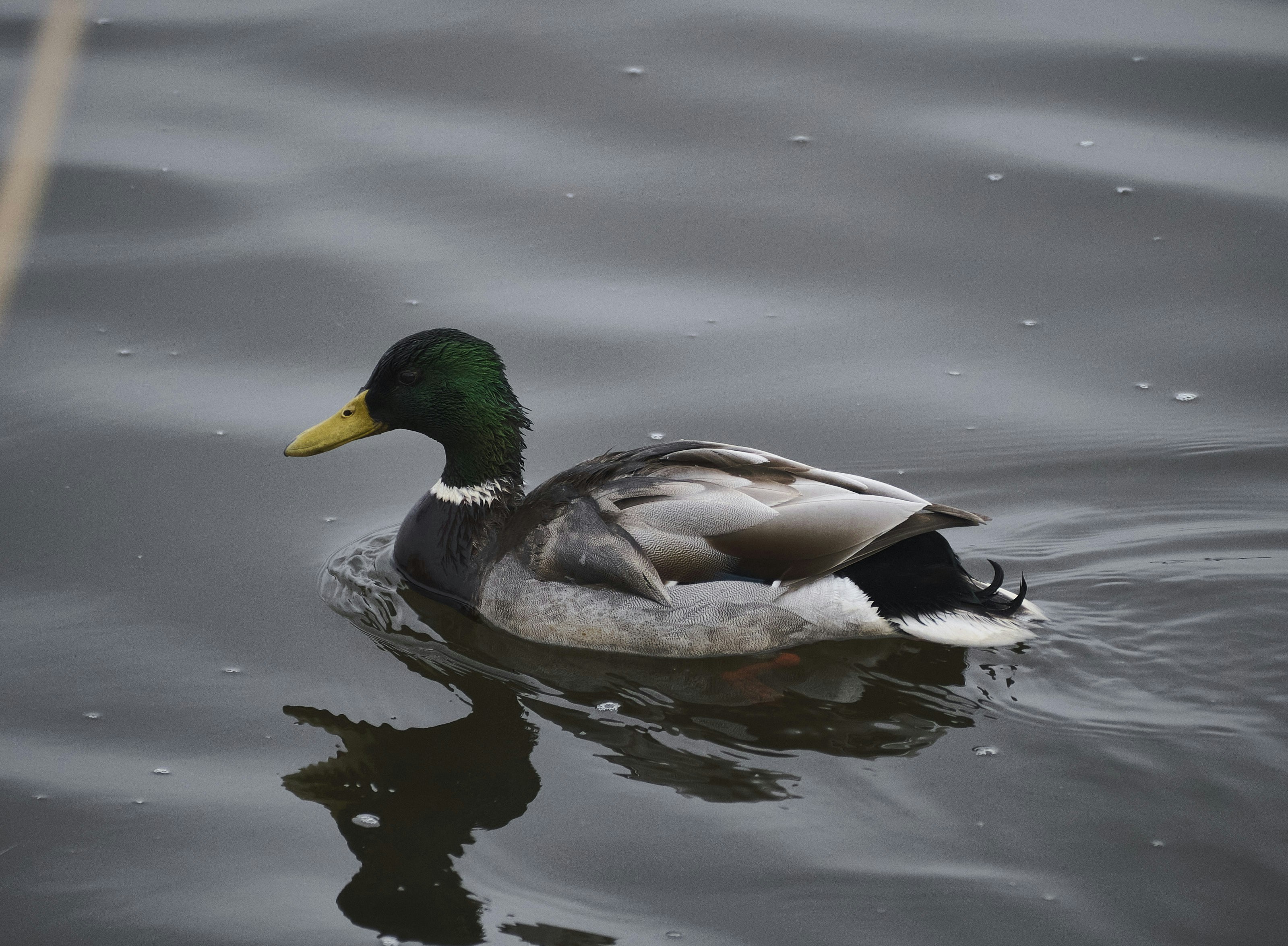 Photo by rolf_schmidbauer