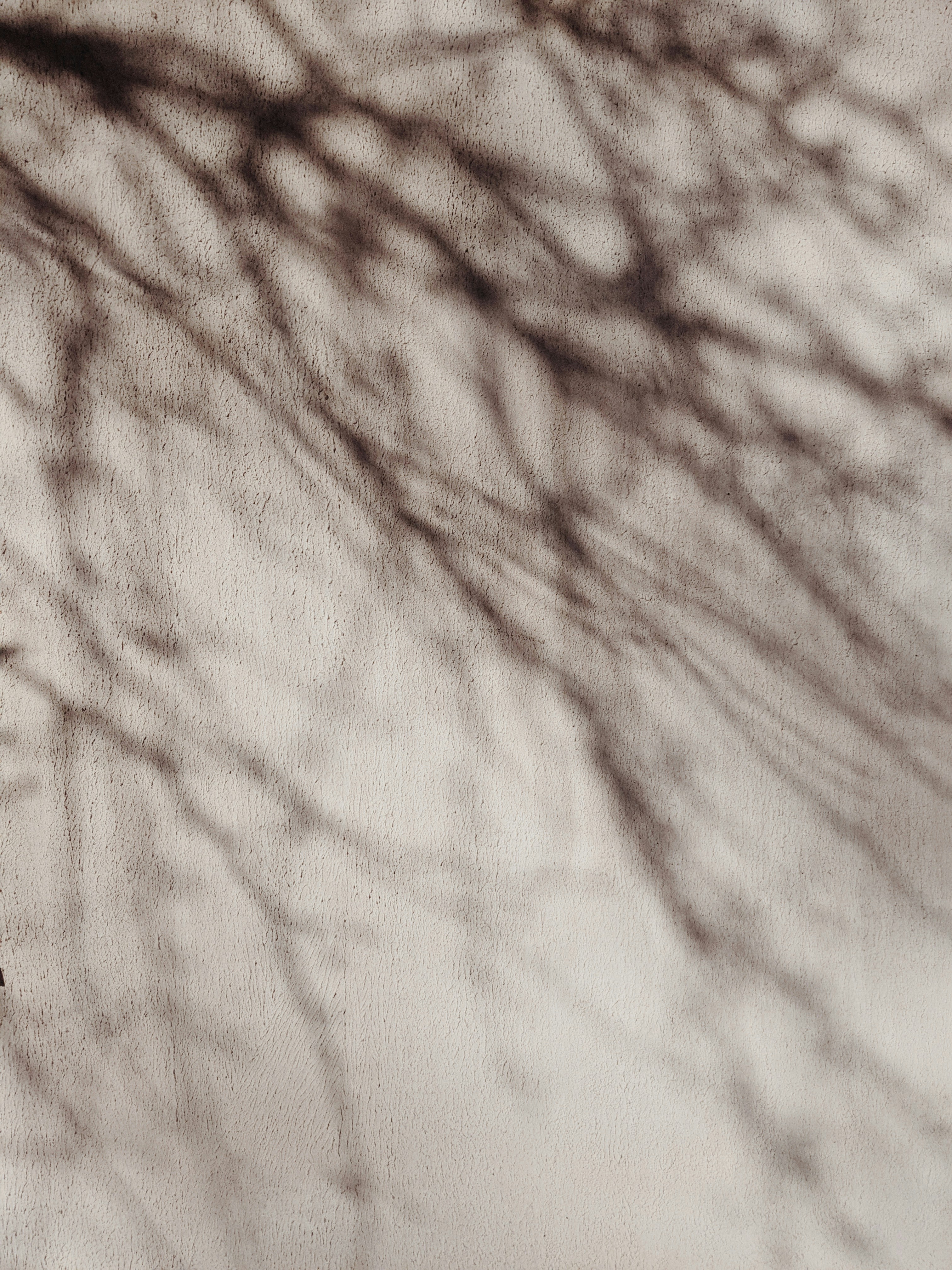 Photo by valeriiamiller