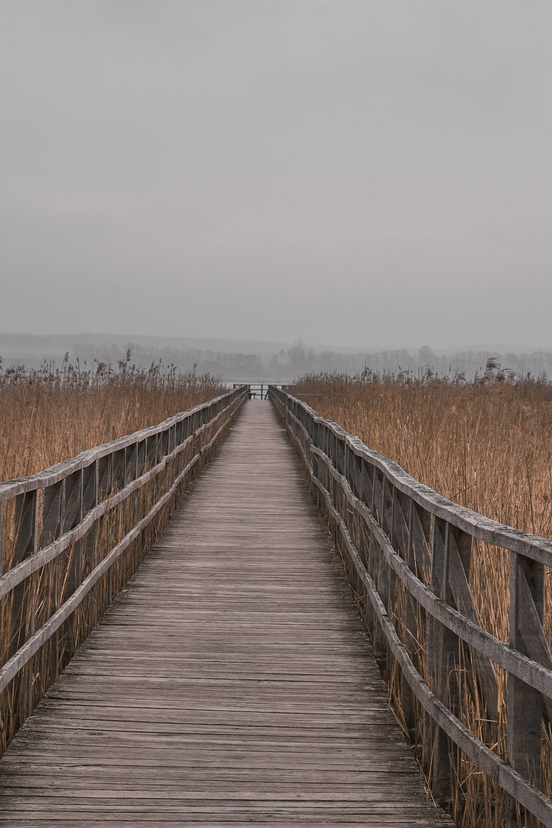 brown wooden bridge over brown grass field during daytime