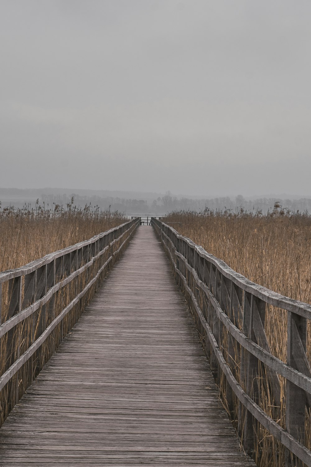 brown wooden bridge over brown grass field during daytime