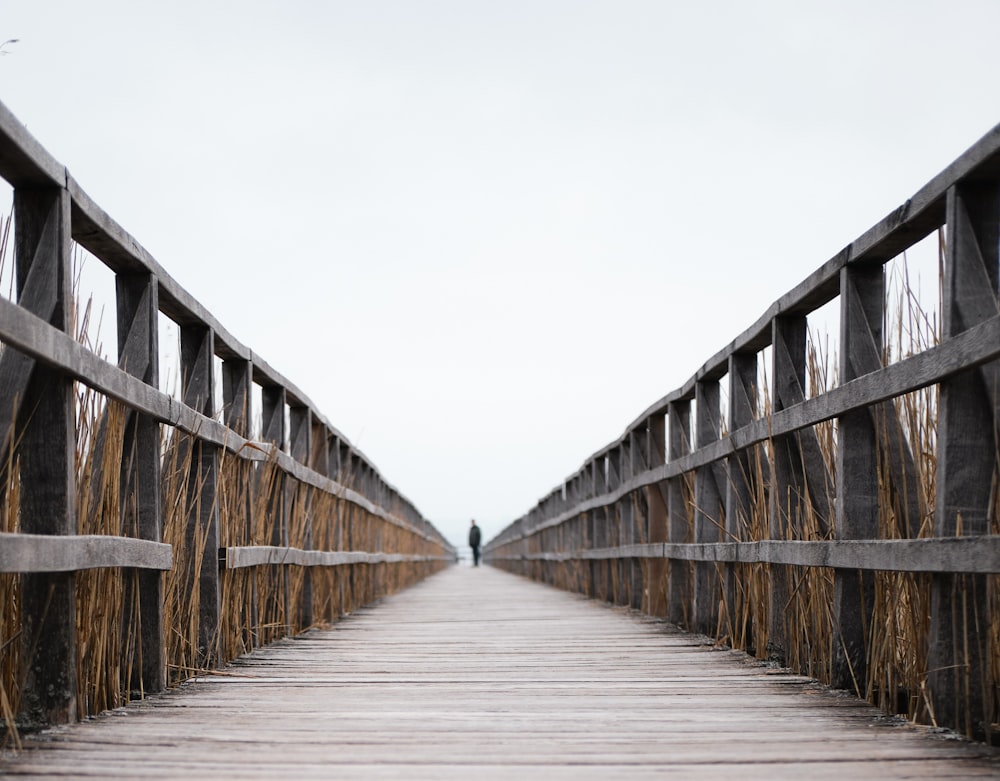 brown wooden bridge under white sky during daytime