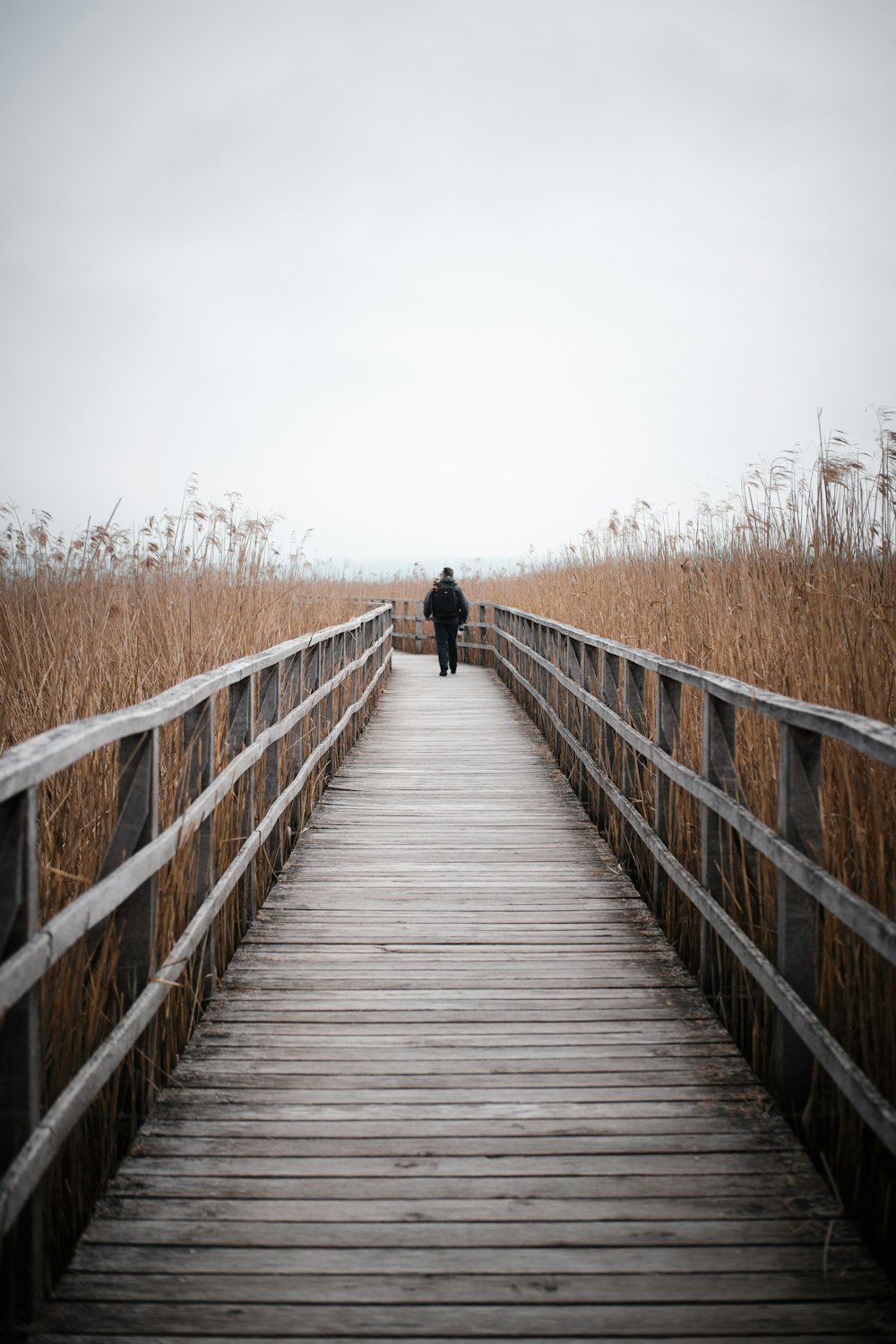 person walking on wooden bridge during daytime