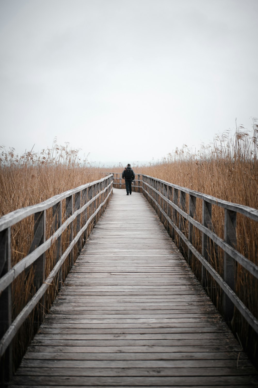 Persona que camina sobre un puente de madera durante el día