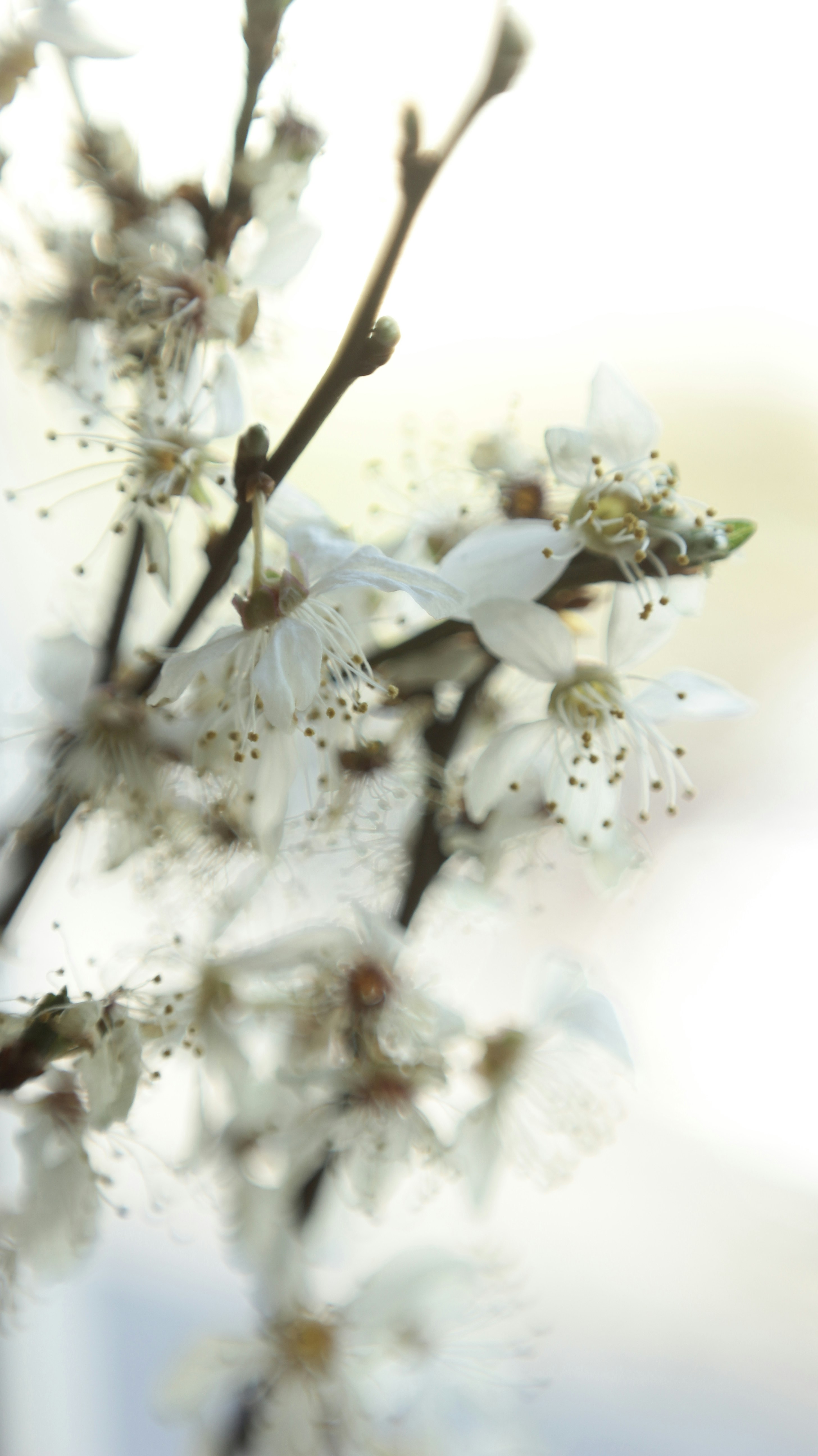 Photo by aleksandra_zabierek