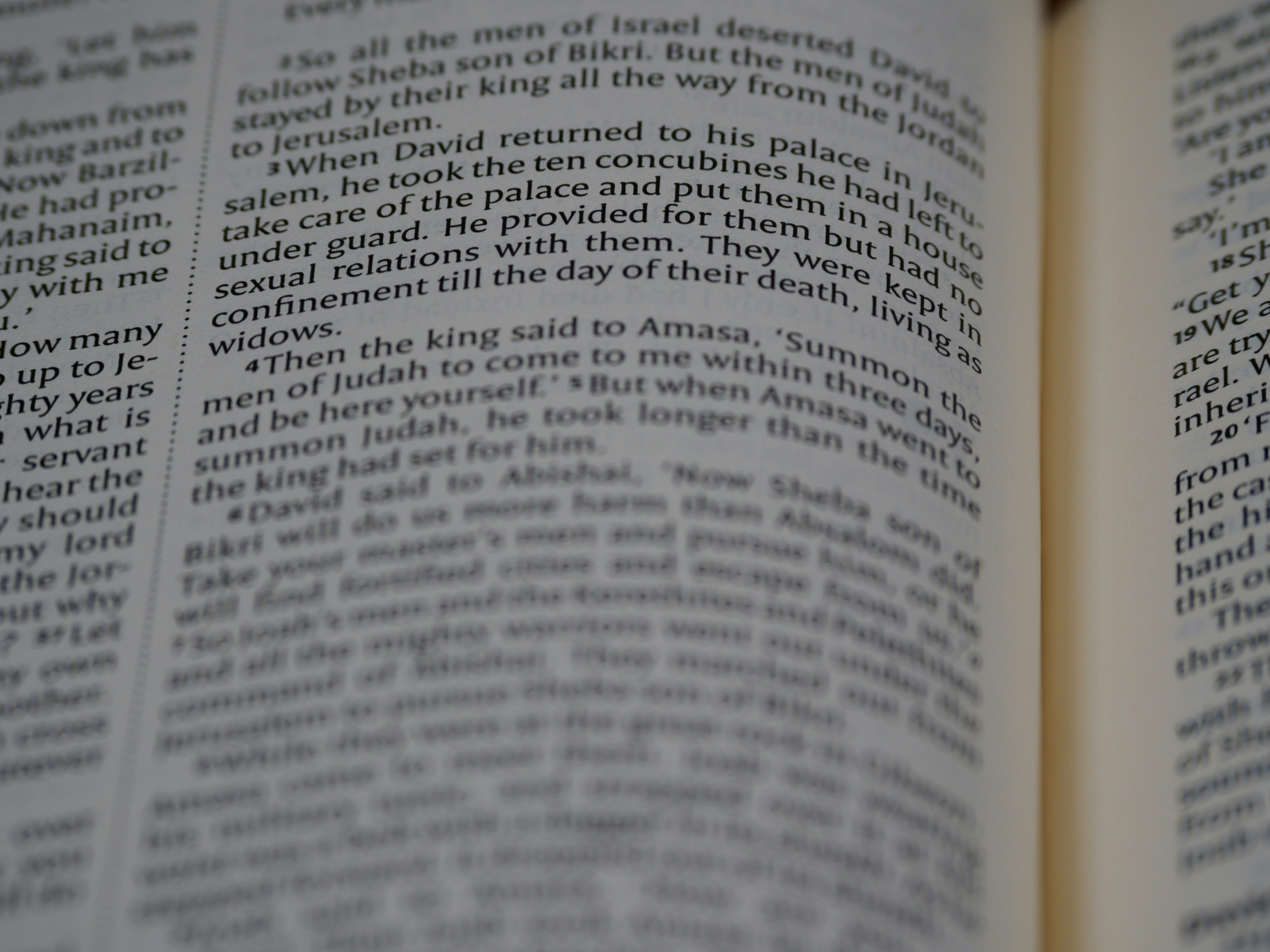 Photo by brett_jordan