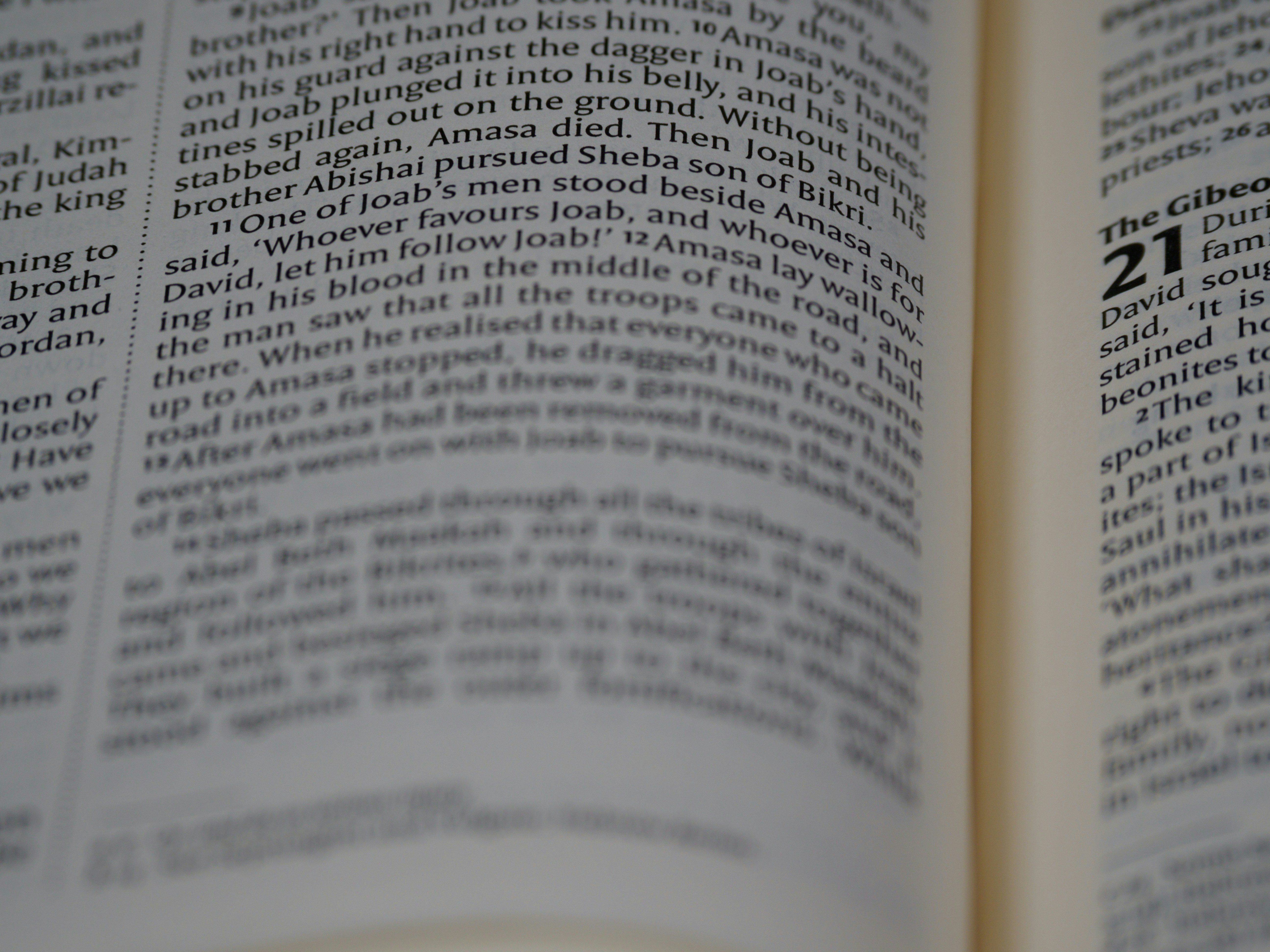 Photo by brett_jordan