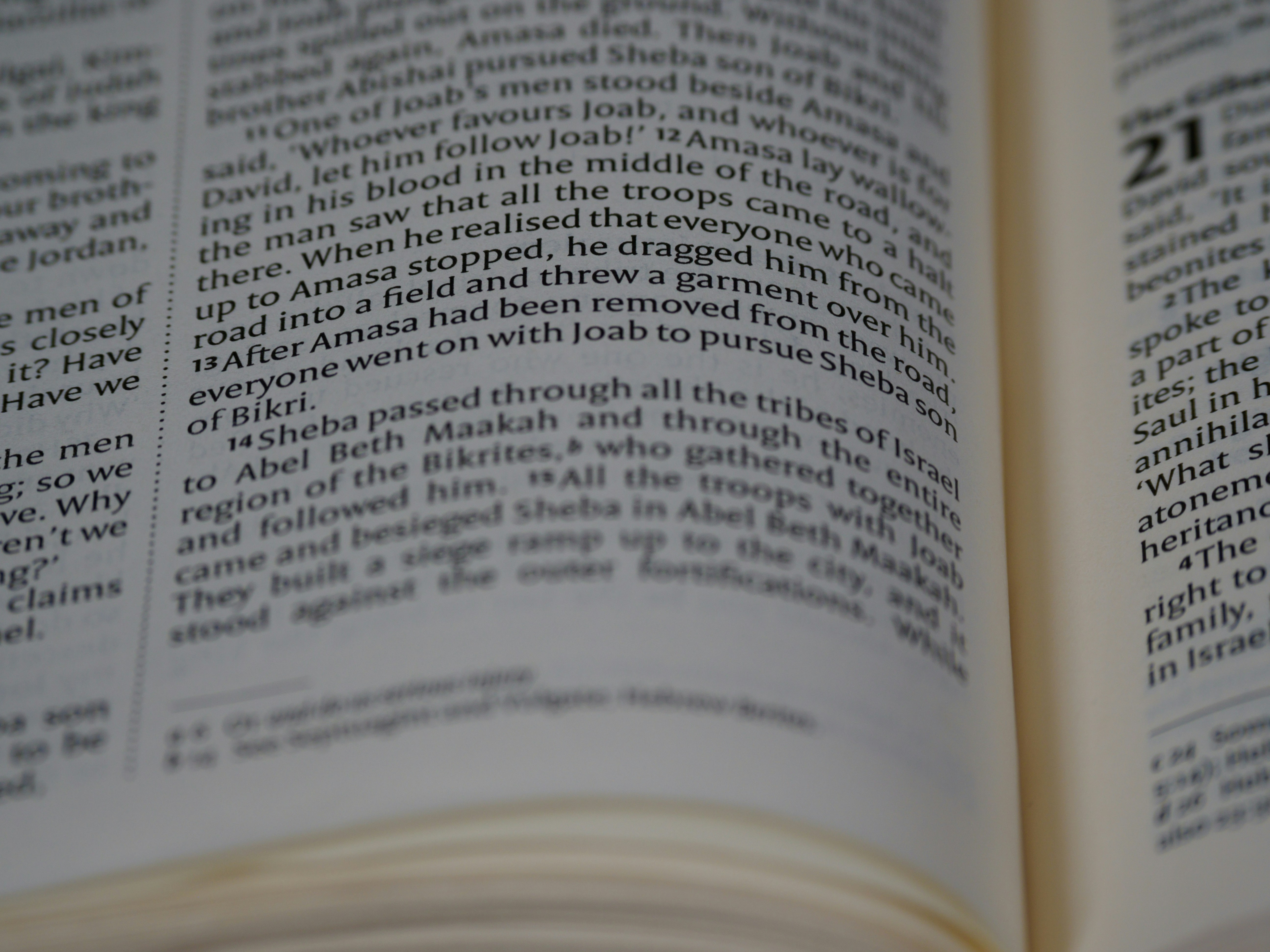 Photo by brett_jordan