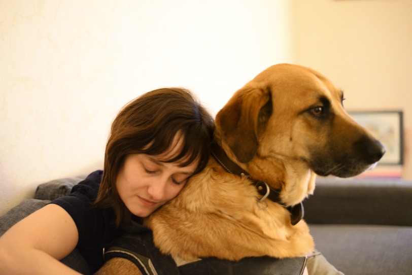 girl hugging brown short coated dog
