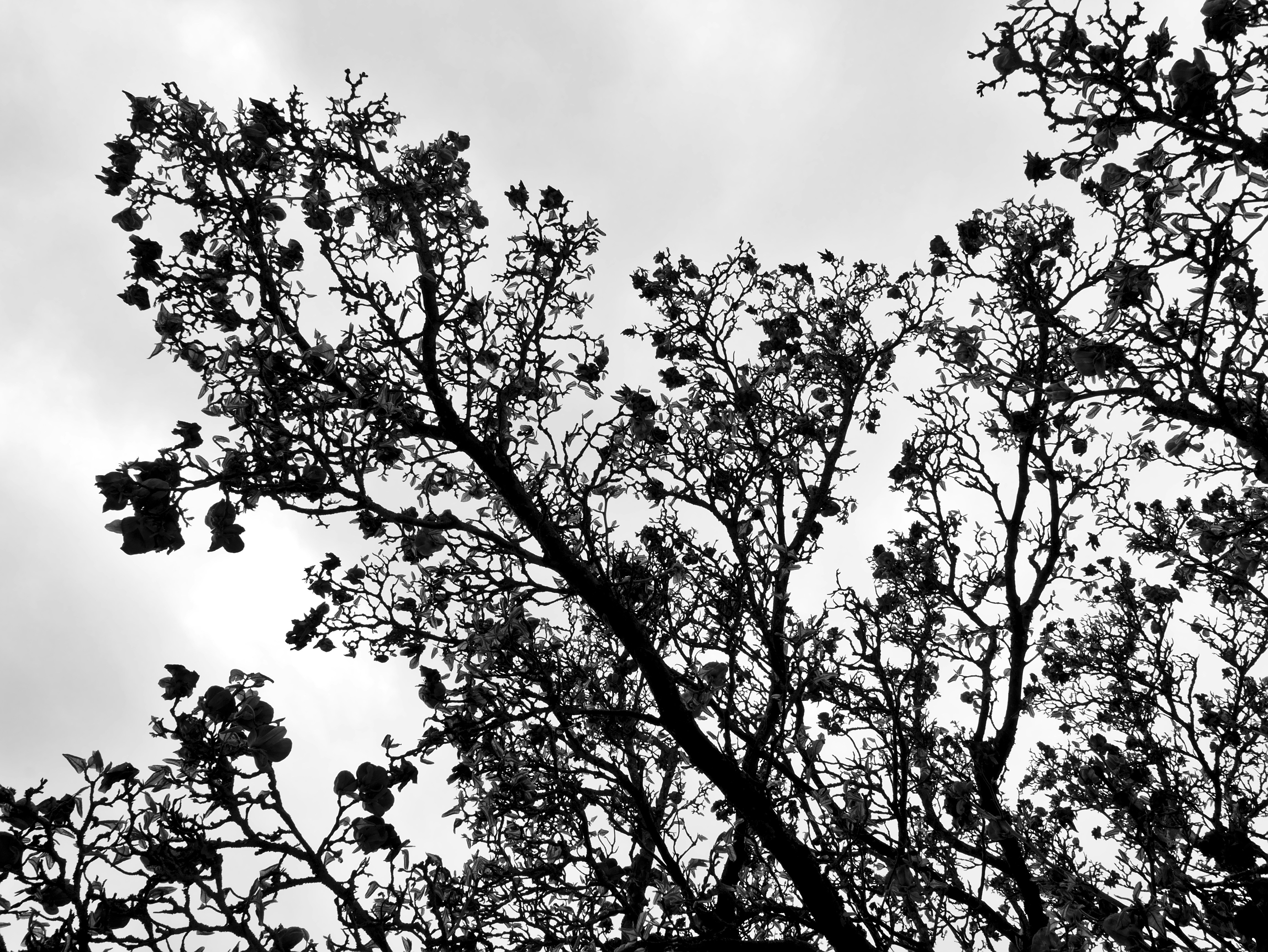 Shapes and shadows | 16 best free shadow, outdoor, building and texture ...