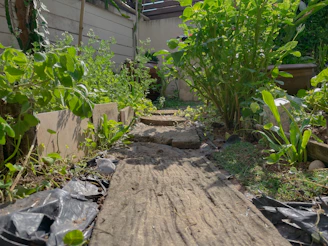 Mulched garden path showing moisture retention and weed control.