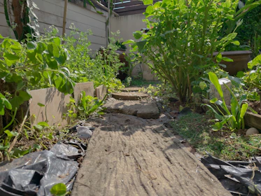 A winding DIY garden path made of natural wood slices surrounded by soft green plants and red blooms.