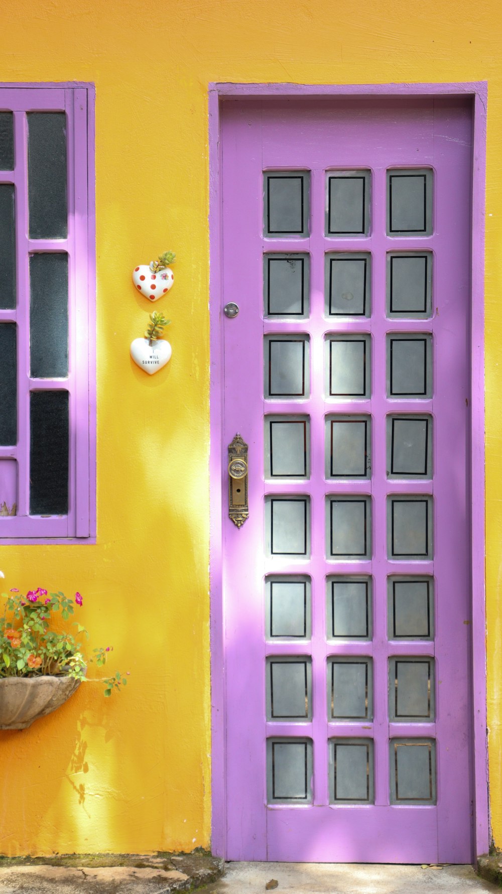 紫と黄色の木製窓