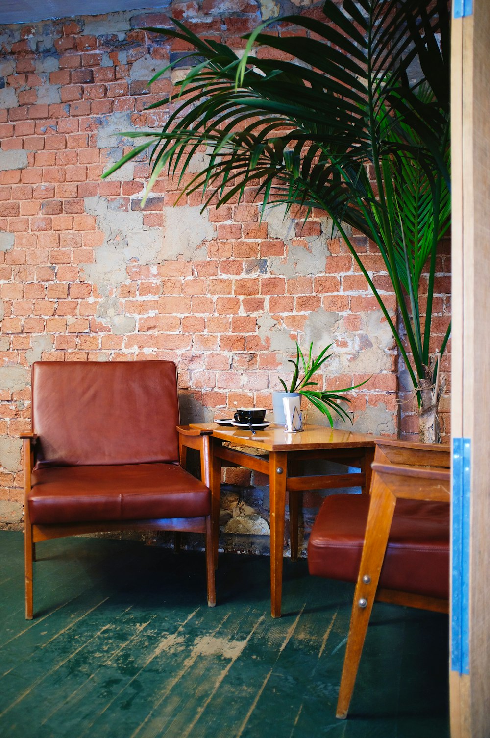 brown wooden armchair beside green plant