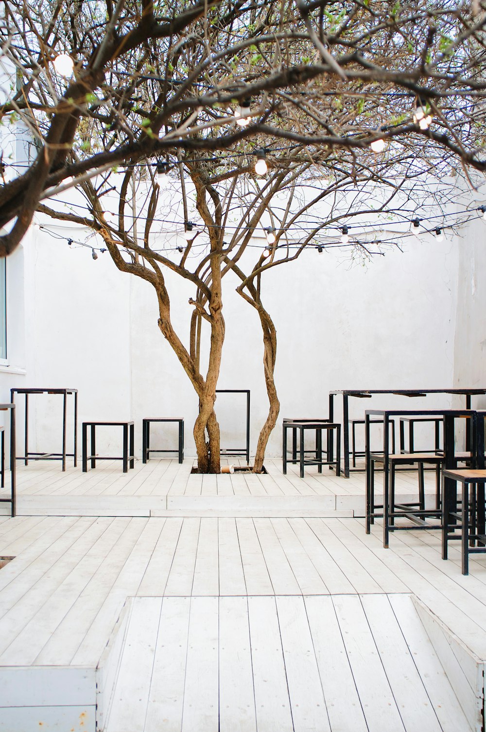 brown bare tree on white wooden floor