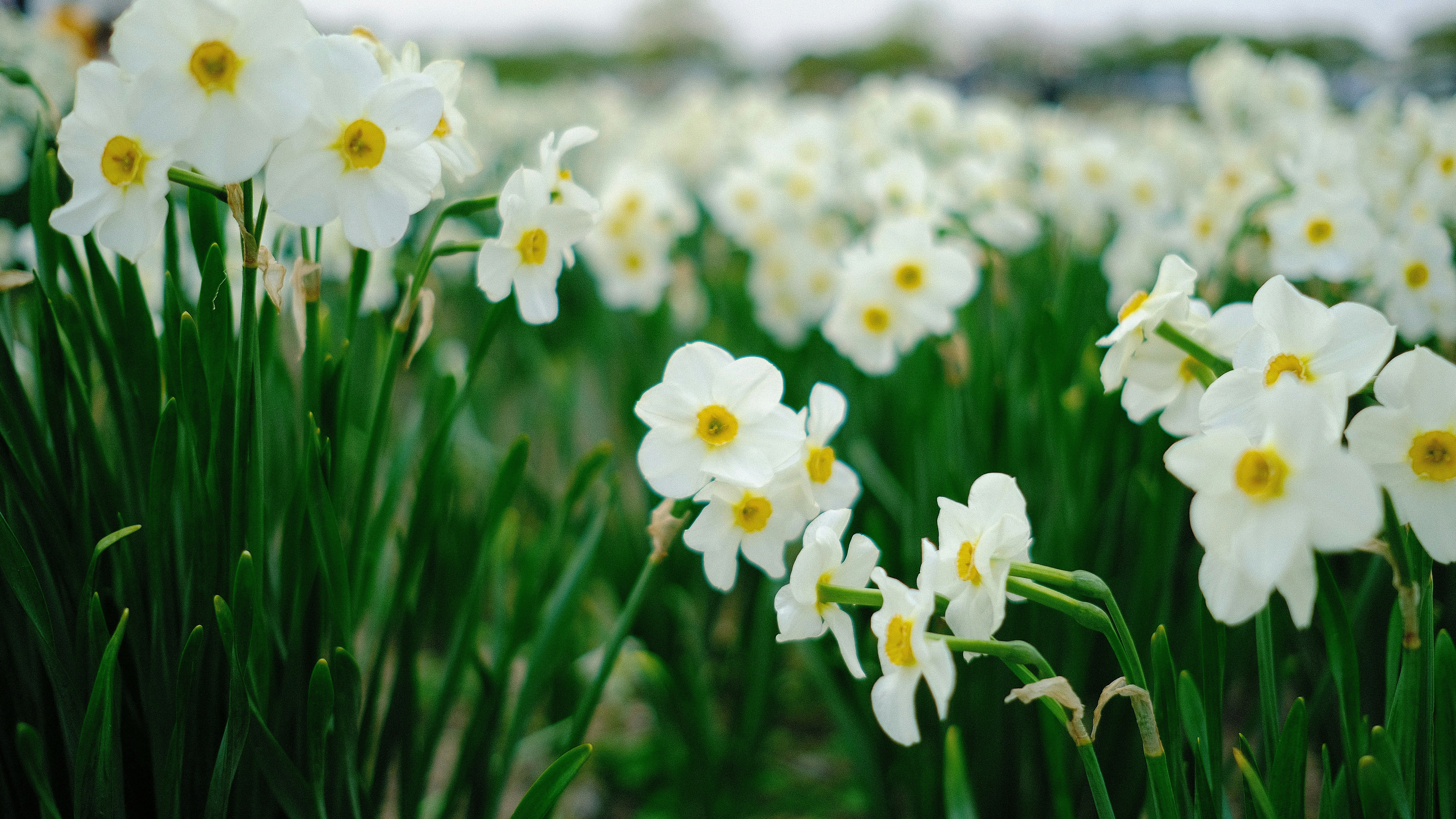 Photo by eragonknight89