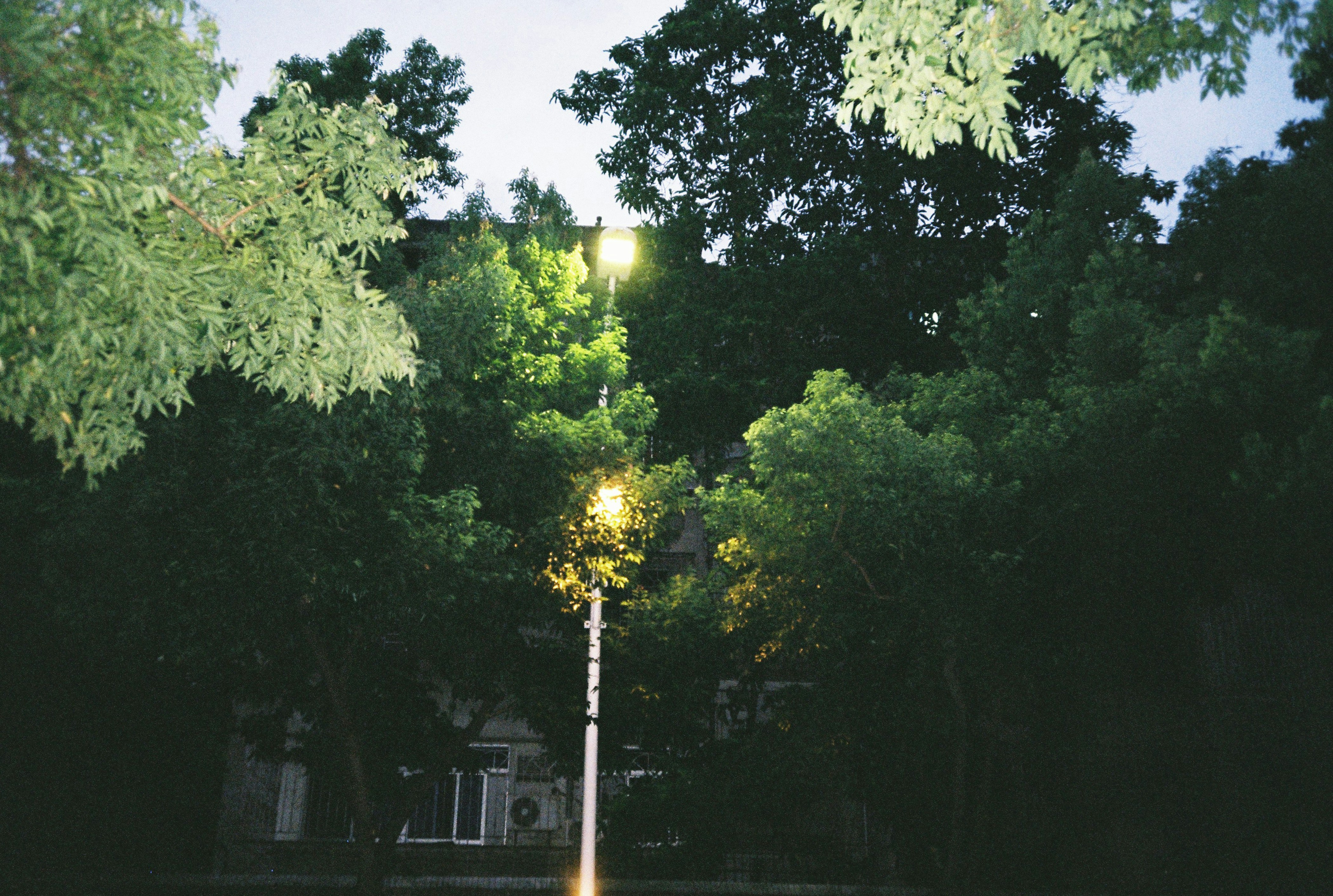 Photo by ciins