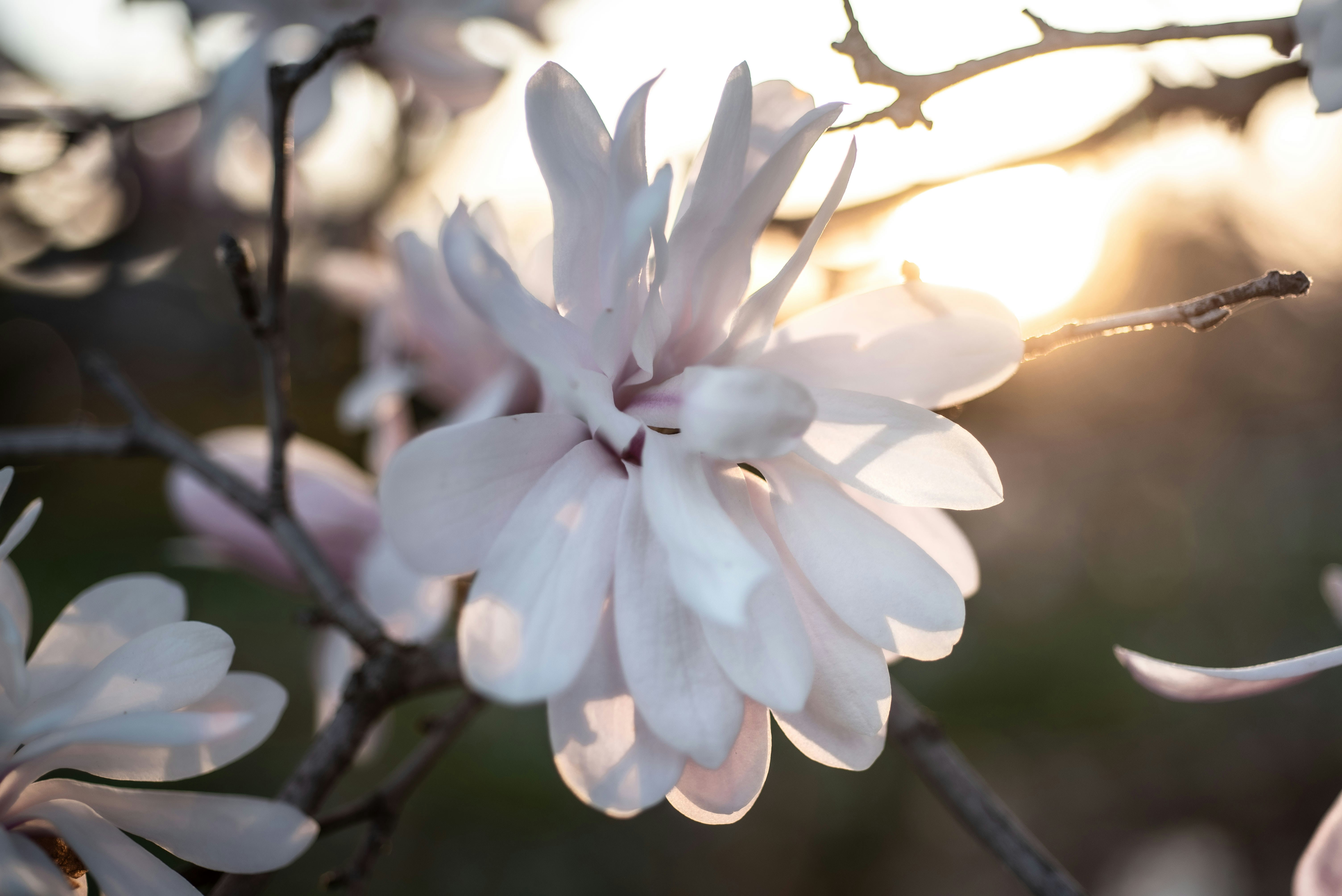 Photo by ottawagraphics