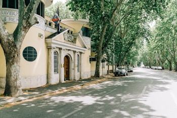 An elegant, curved building with classical architectural elements, such as columns and arched doorways, situated on a street lined with lush, towering trees. There are cars parked along the street, casting shadows on the sunlit road.